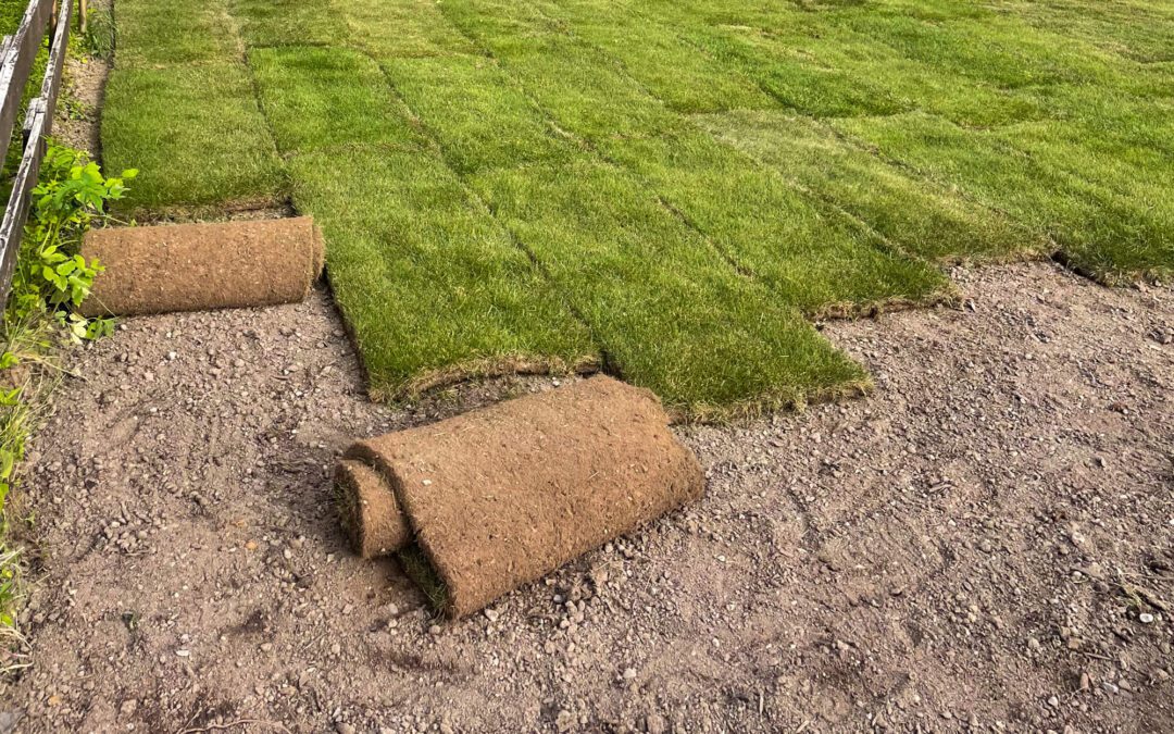 Anläggning & skötsel av gräsmattor